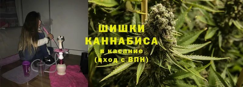 Бошки Шишки SATIVA & INDICA  darknet какой сайт  Карачев 